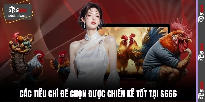 Các tiêu chí để chọn được chiến kê tốt tại S666