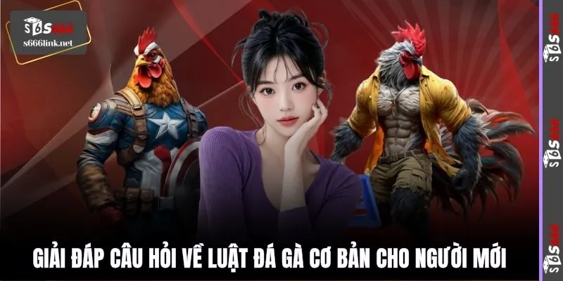 Giải đáp câu hỏi về luật đá gà cơ bản cho người mới