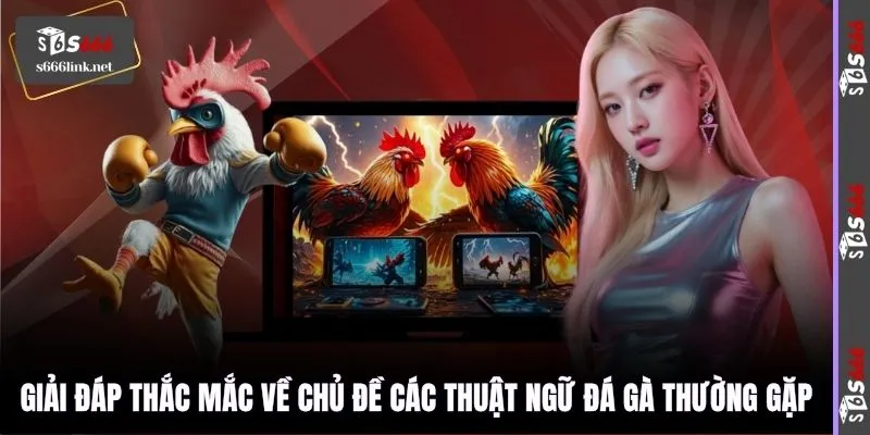 Giải đáp thắc mắc về chủ đề các thuật ngữ đá gà thường gặp