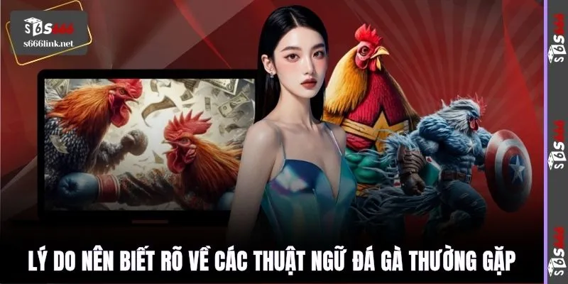 Lý do nên biết rõ về các thuật ngữ đá gà thường gặp