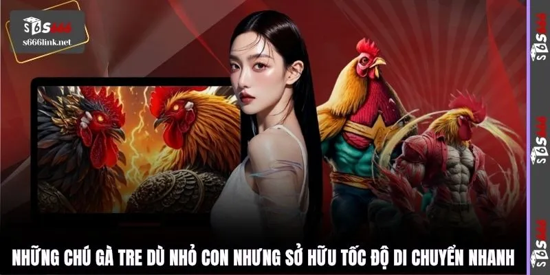 Những chú gà tre dù nhỏ con nhưng sở hữu tốc độ di chuyển nhanh