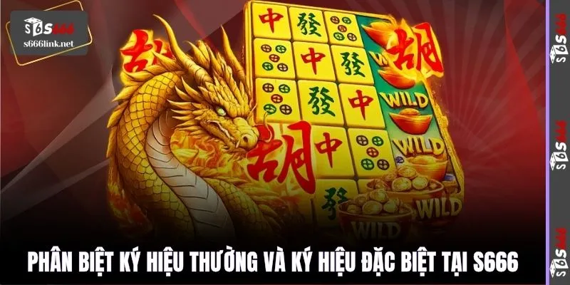Phân biệt ký hiệu thường và ký hiệu đặc biệt tại S666