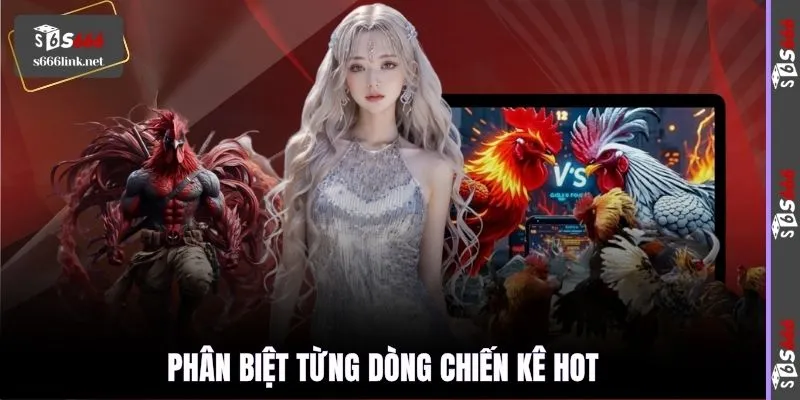 Phân biệt từng dòng chiến kê hot