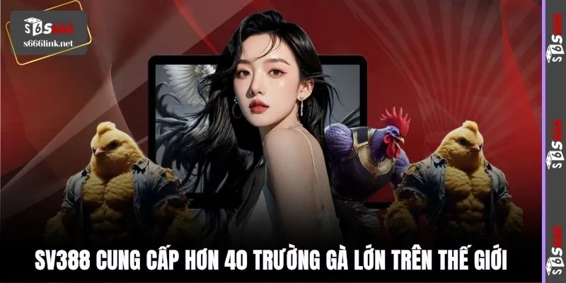 SV388 cung cấp hơn 40 trường gà lớn trên thế giới