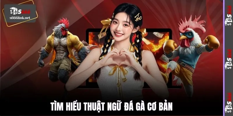 Tìm hiểu thuật ngữ đá gà cơ bản