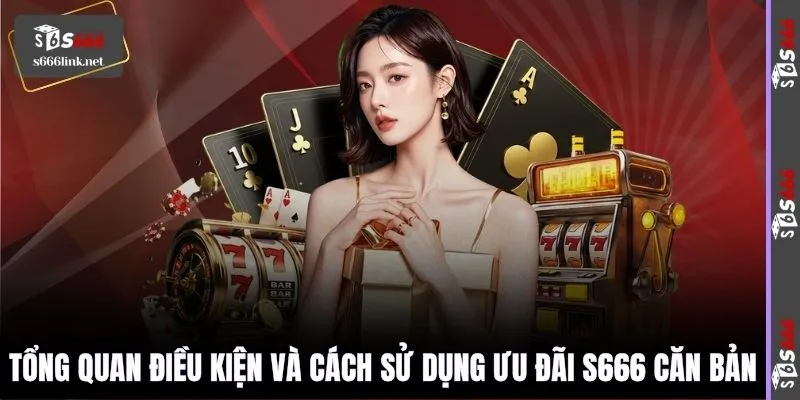 Tổng quan điều kiện và cách sử dụng ưu đãi S666 căn bản